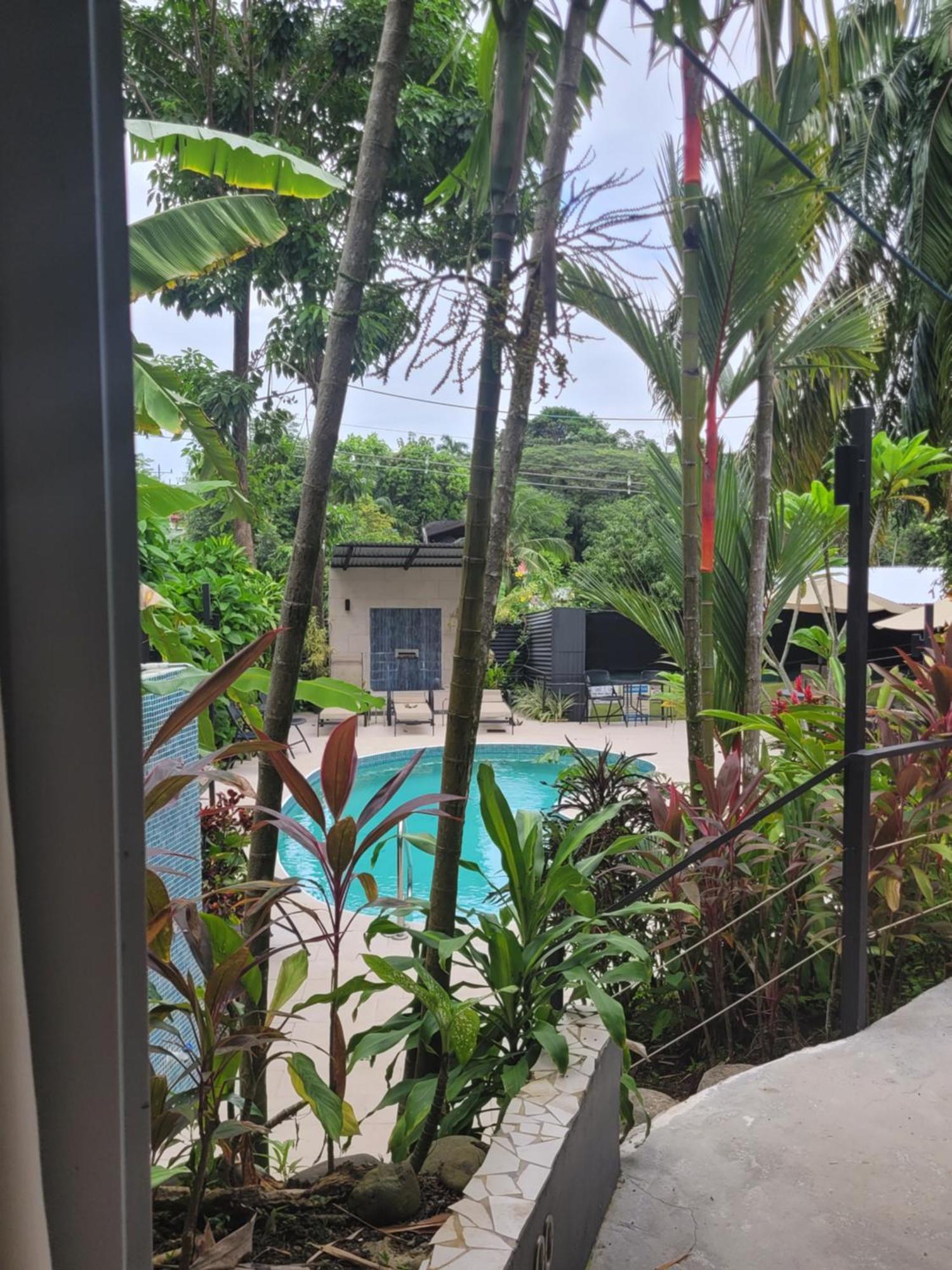Tico Tico Villas - Adult Only Manuel Antonio Zewnętrze zdjęcie